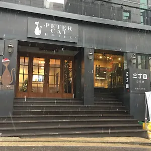 ホテル ピーターキャット シンチョン（ホンデ） ソウル特別市